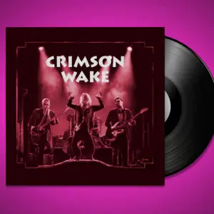 12 Inch Design It Yourself - Outer Record Sleeve with No Print On Spine
